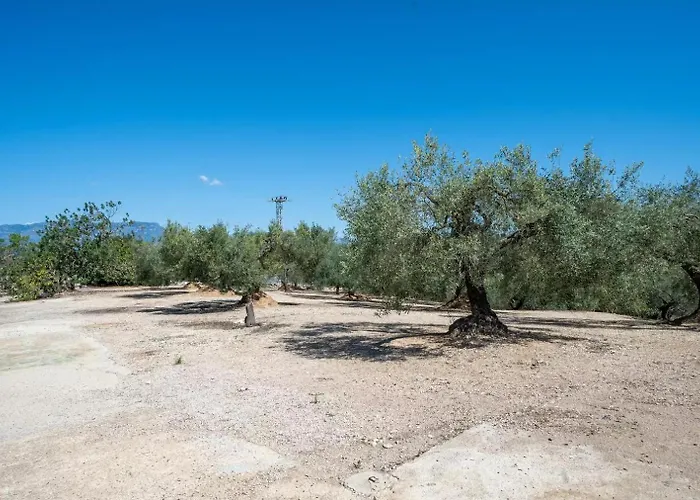 La Caseta Dels Iaios